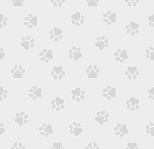 A gray pawprint pattern.