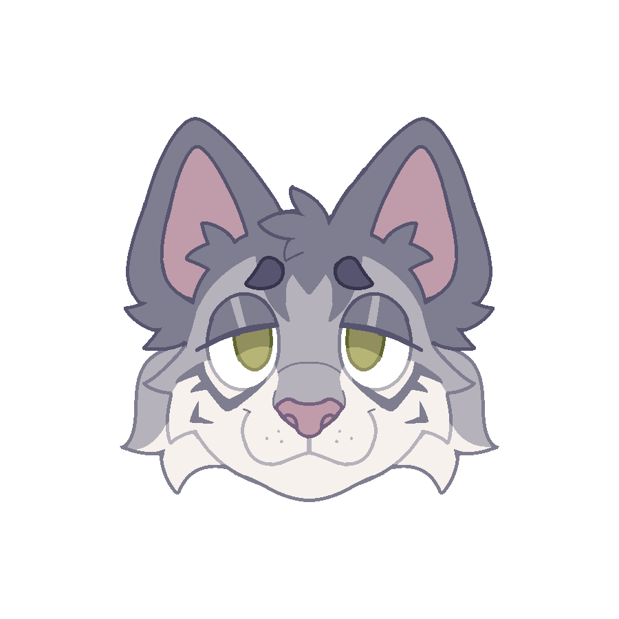 a tabby cat